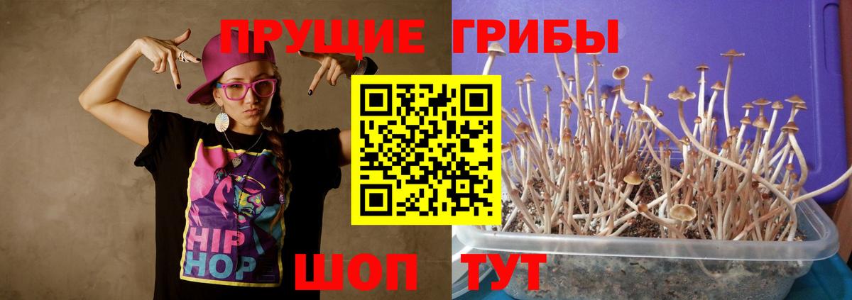 Ижевск  Псилоцибиновые грибы Magic Shrooms  Псилоцибиновые грибы Cubensis  Вход с VPN 